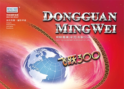 proimages/e-catalog/2020-Ming-Wei-(Dongguan)-Cataloguejpg